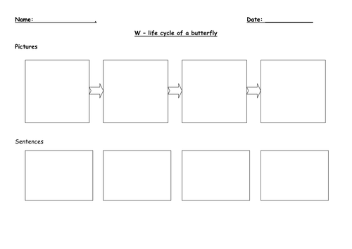 Butterfly lifecycle | Teaching Resources