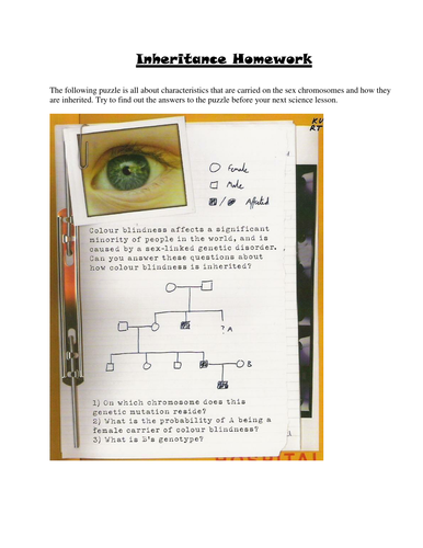 Inheritence Handout