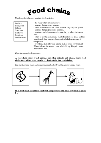 Food Chains Matching Activity 