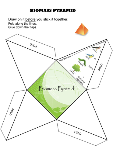 Make a Biomass Pyramid