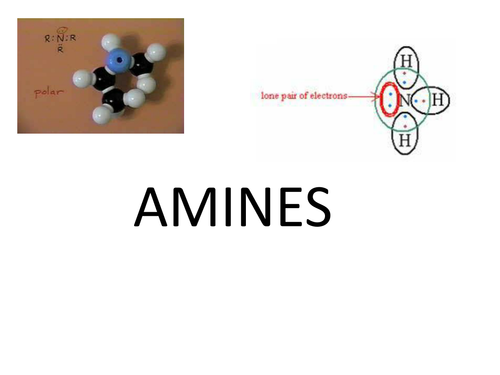 Amine Facts