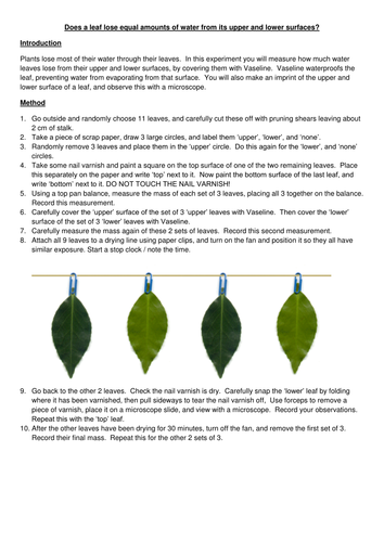 Transpiration experiment