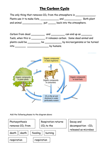 Printables Carbon Cycle Worksheets carbon cycle by sian jones teaching resources tes