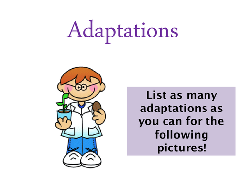 Adaptations