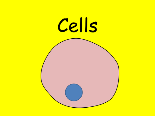 Cells 3 - Plant cells
