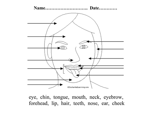 Face Labelling Sheet and Cutting/Sticking Activity ...