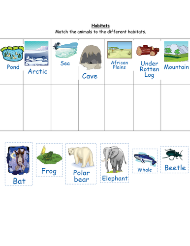 animal for worksheet kindergarten habitat by their Match to animals the ruthbentham habitats