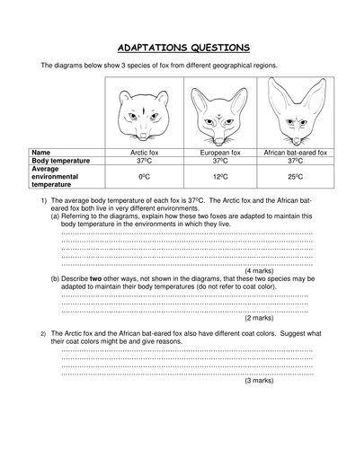 Adaptations of animals