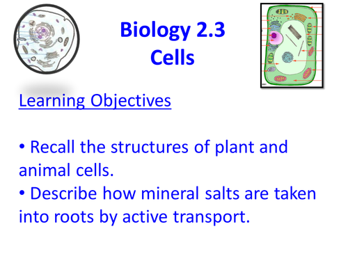 Cells and Active Transport