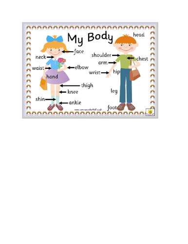 Body Parts | Teaching Resources