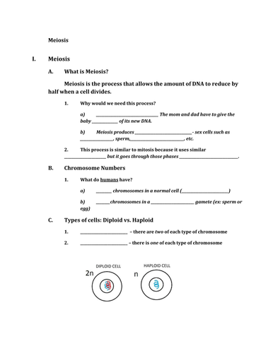 Meiosis and Mendel | Teaching Resources
