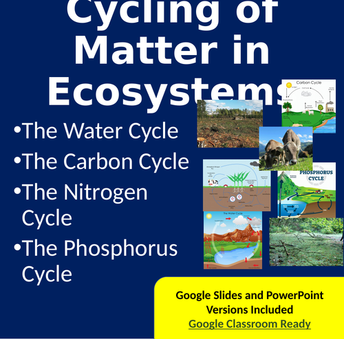 Worksheets Cycles Of Matter Worksheet cycling of matter in ecosystems powerpoint lesson notes and activity package by teachwithfergy teaching resources tes