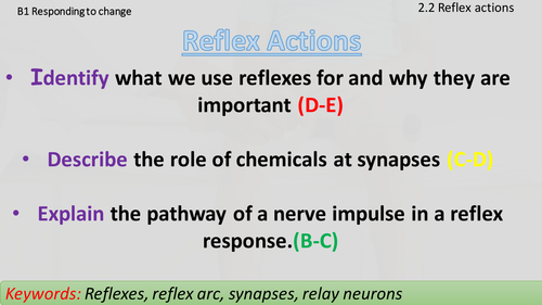 AQA B1.2.2 Reflex Actions