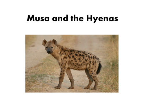 Musa and the Hyenas