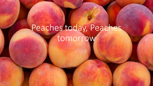 Peaches today, Peaches tomorrow math problem