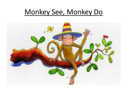 Monkey See, Monkey Do PPT