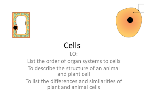 Cells KS3