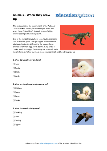Printed Quiz on KS1 Science - Animals When They Grow Up