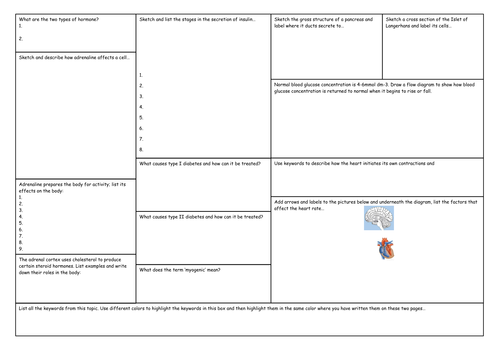OCR A Level Biology Communication and homeostasis revision