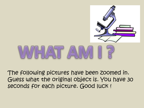 what am I - zoomed in pictures
