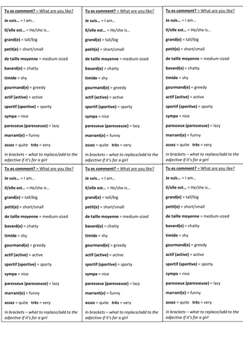 French vocab list: Self-description | Teaching Resources