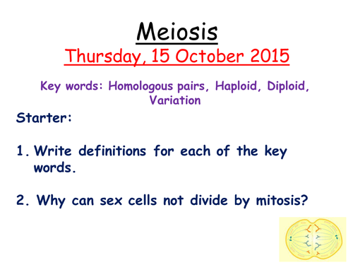 Meiosis