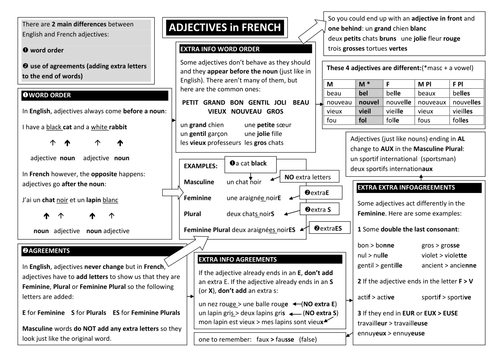 Adjective endings in French for KS3