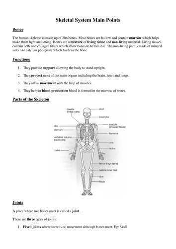 Short Notes on Skeletal System