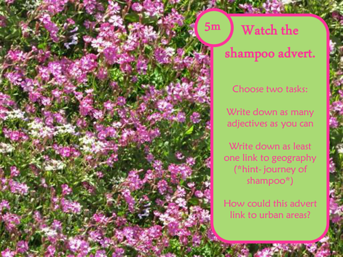 Gentrification Shampoo!