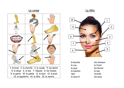 Body parts, illnesses and remedies