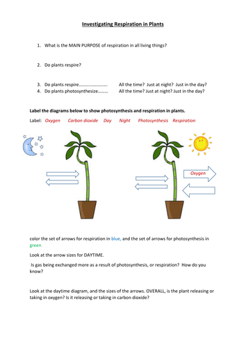 Respiration in plants - experiment using hydrogen carbonate indicator