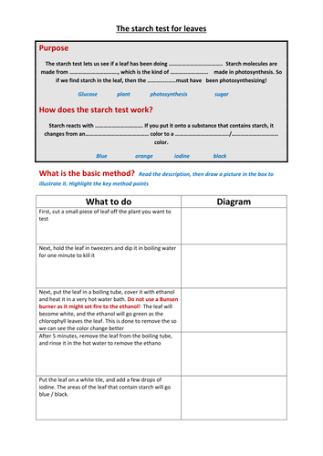 The starch test for leaves - method and variations