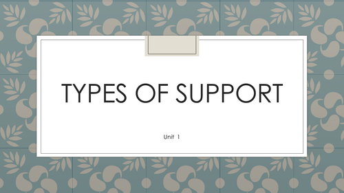 level 2 btec unit 1 exam - types of support