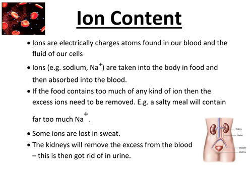 What is Homeostasis?