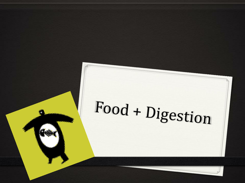 Food + Digestion
