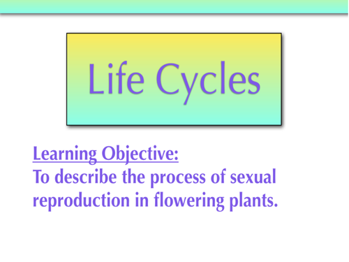 Sexually Reproduction in flowering plants