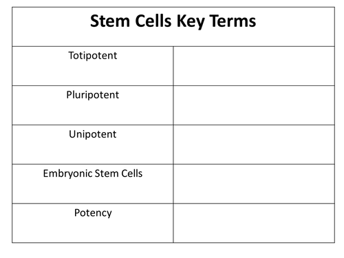 Stem Cells Revision