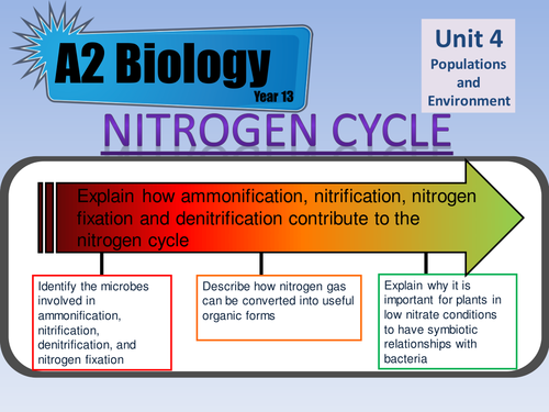 Nitrogen Cycle Lesson For As Biology Aqa Unit 4 Teaching Resources 7037