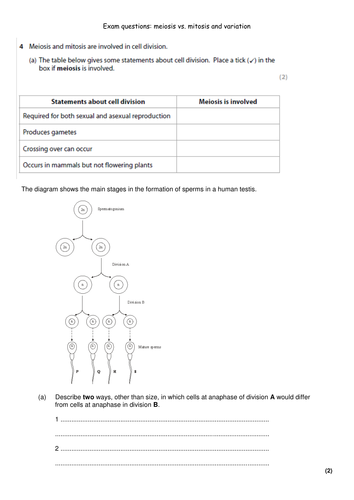 Revision on meiosis