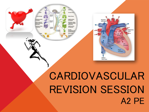 A Level PE Cardiovascular Revision Presentation