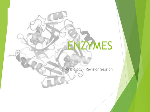 Enzymes revision slides (AQA) for AS