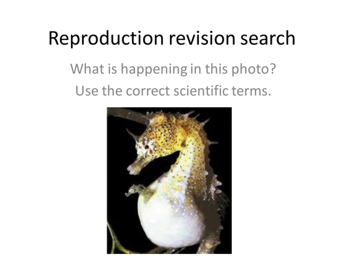 Year 7 Reproduction revision search