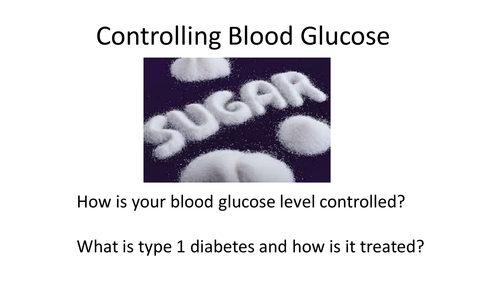 Blood Glucose Control Homeostasis