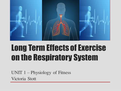 Long Term Effects of Exercise on the Respiratory System