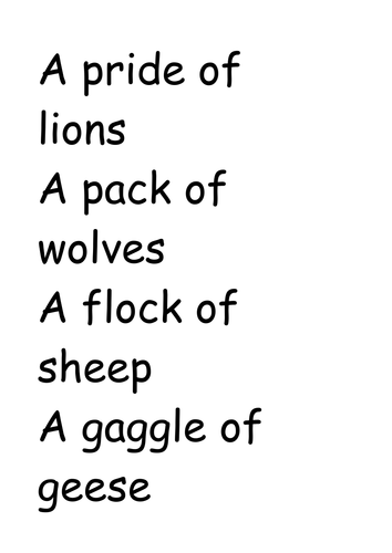 Collective nouns flashcards