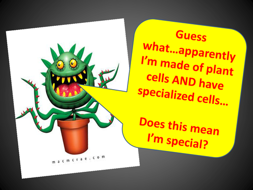 Plant Cells & Cell Specialization