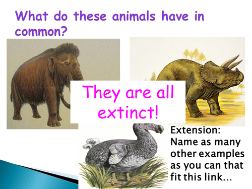 B2 Additional Biology SOW - Speciation