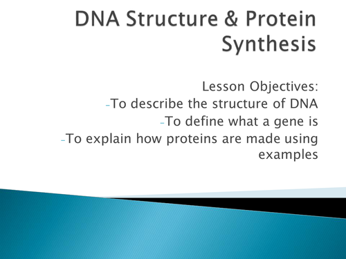 DNA Structure & Protein Synthesis