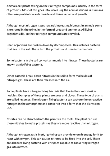 Nitrogen Cycle