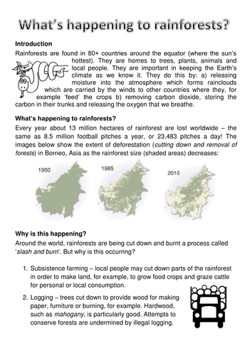 Rainforest deforestation worksheet